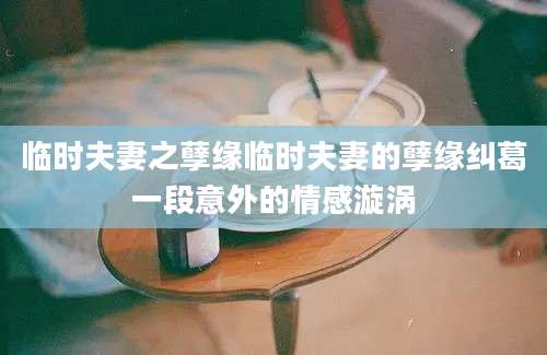 临时夫妻之孽缘临时夫妻的孽缘纠葛一段意外的情感漩涡