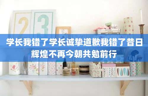 学长我错了学长诚挚道歉我错了昔日辉煌不再今朝共勉前行
