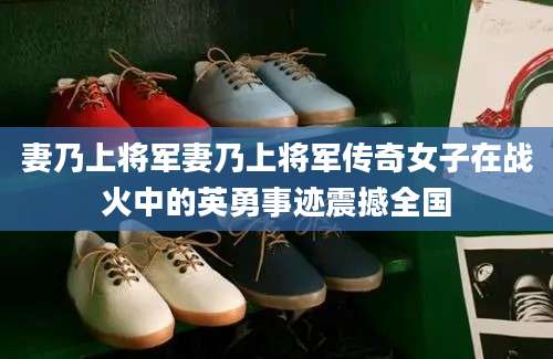 妻乃上将军妻乃上将军传奇女子在战火中的英勇事迹震撼全国