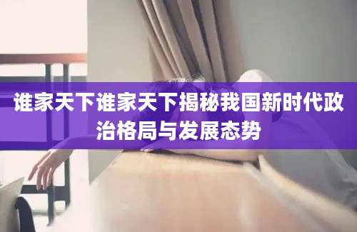 谁家天下谁家天下揭秘我国新时代政治格局与发展态势