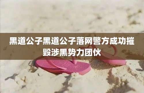 黑道公子黑道公子落网警方成功摧毁涉黑势力团伙
