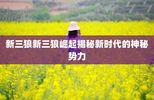新三狼新三狼崛起揭秘新时代的神秘势力