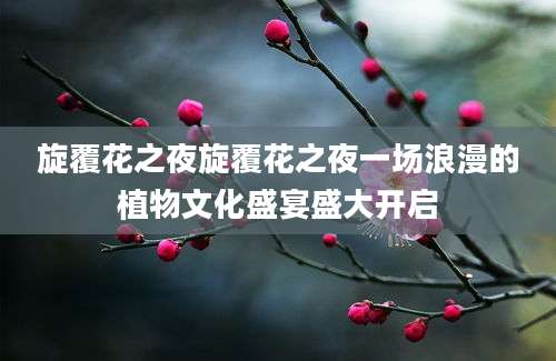 旋覆花之夜旋覆花之夜一场浪漫的植物文化盛宴盛大开启