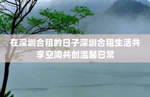 在深圳合租的日子深圳合租生活共享空间共创温馨日常