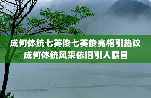成何体统七英俊七英俊亮相引热议成何体统风采依旧引人瞩目