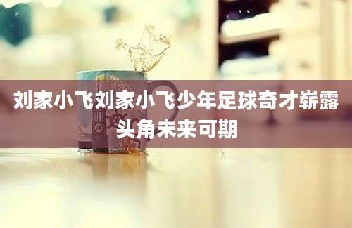 刘家小飞刘家小飞少年足球奇才崭露头角未来可期