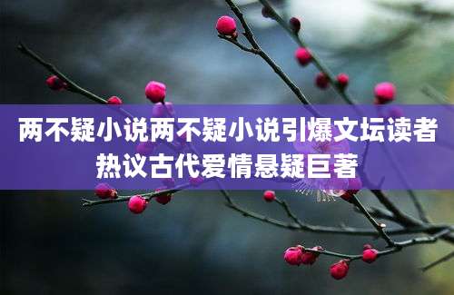 两不疑小说两不疑小说引爆文坛读者热议古代爱情悬疑巨著