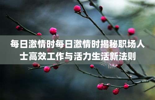 每日激情时每日激情时揭秘职场人士高效工作与活力生活新法则