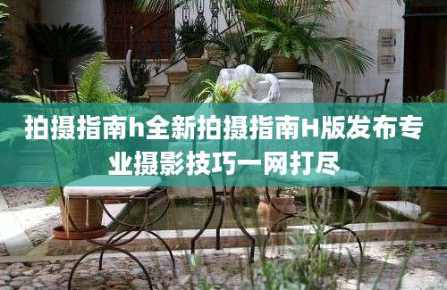 拍摄指南h全新拍摄指南H版发布专业摄影技巧一网打尽