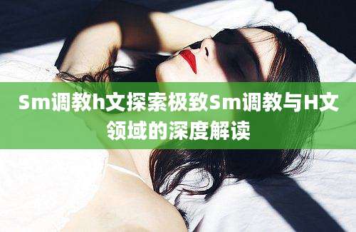 Sm调教h文探索极致Sm调教与H文领域的深度解读