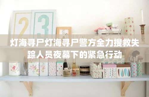 灯海寻尸灯海寻尸警方全力搜救失踪人员夜幕下的紧急行动