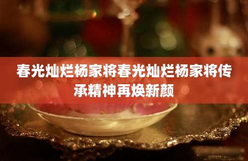 春光灿烂杨家将春光灿烂杨家将传承精神再焕新颜