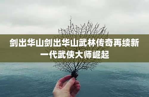 剑出华山剑出华山武林传奇再续新一代武侠大师崛起