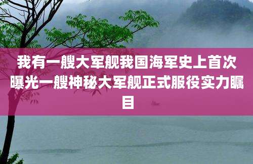 我有一艘大军舰我国海军史上首次曝光一艘神秘大军舰正式服役实力瞩目