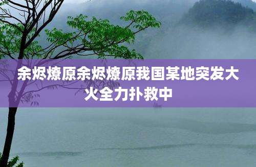 余烬燎原余烬燎原我国某地突发大火全力扑救中