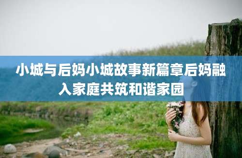 小城与后妈小城故事新篇章后妈融入家庭共筑和谐家园