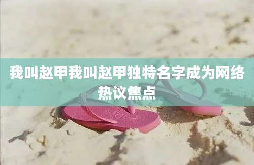 我叫赵甲我叫赵甲独特名字成为网络热议焦点