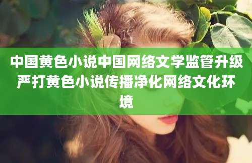 中国黄色小说中国网络文学监管升级严打黄色小说传播净化网络文化环境