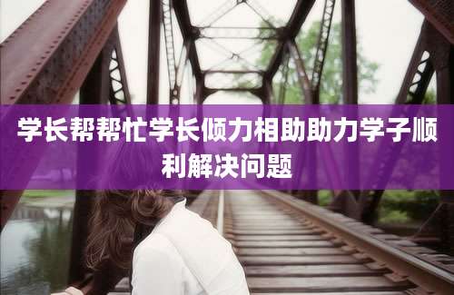 学长帮帮忙学长倾力相助助力学子顺利解决问题
