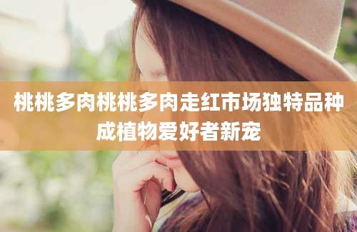 桃桃多肉桃桃多肉走红市场独特品种成植物爱好者新宠
