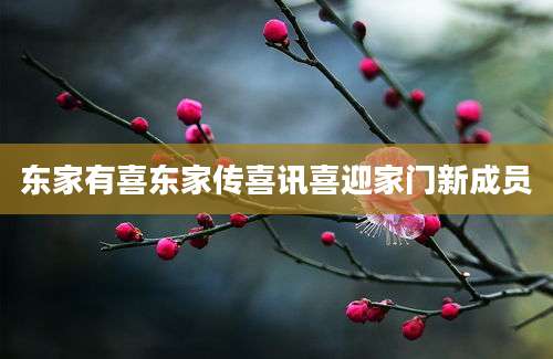 东家有喜东家传喜讯喜迎家门新成员