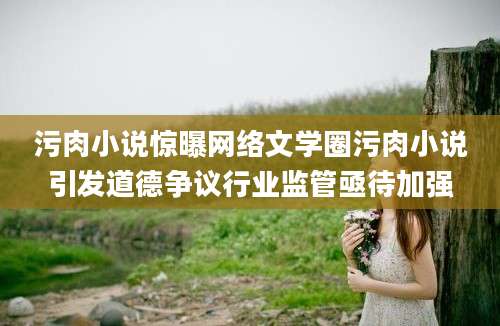 污肉小说惊曝网络文学圈污肉小说引发道德争议行业监管亟待加强