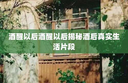 酒醒以后酒醒以后揭秘酒后真实生活片段