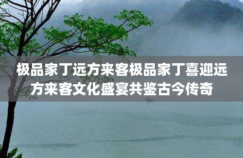 极品家丁远方来客极品家丁喜迎远方来客文化盛宴共鉴古今传奇