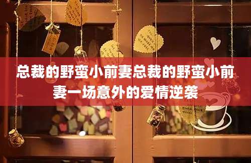 总裁的野蛮小前妻总裁的野蛮小前妻一场意外的爱情逆袭