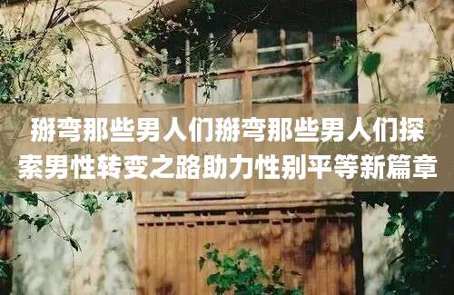 掰弯那些男人们掰弯那些男人们探索男性转变之路助力性别平等新篇章