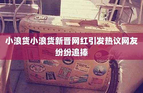 小浪货小浪货新晋网红引发热议网友纷纷追捧