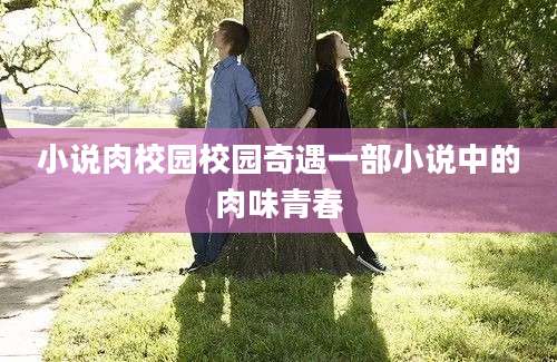 小说肉校园校园奇遇一部小说中的肉味青春