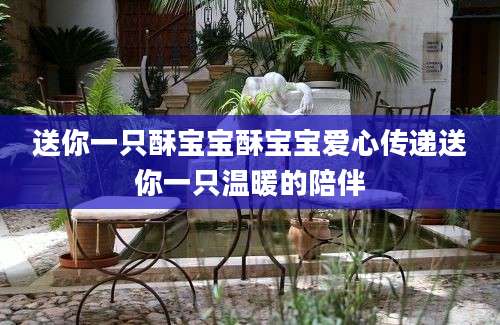送你一只酥宝宝酥宝宝爱心传递送你一只温暖的陪伴