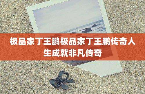 极品家丁王鹏极品家丁王鹏传奇人生成就非凡传奇