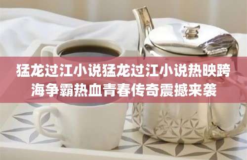 猛龙过江小说猛龙过江小说热映跨海争霸热血青春传奇震撼来袭