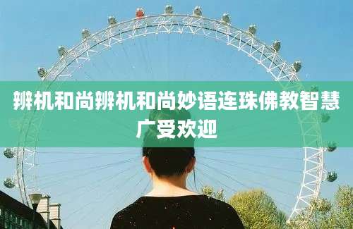 辨机和尚辨机和尚妙语连珠佛教智慧广受欢迎