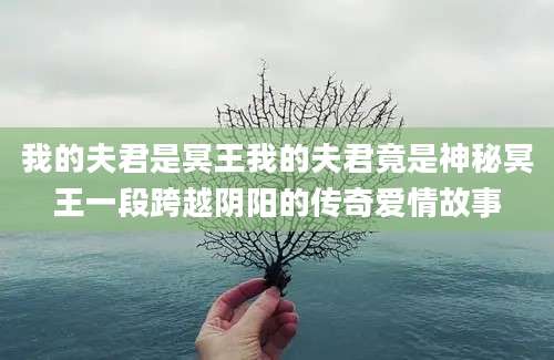 我的夫君是冥王我的夫君竟是神秘冥王一段跨越阴阳的传奇爱情故事