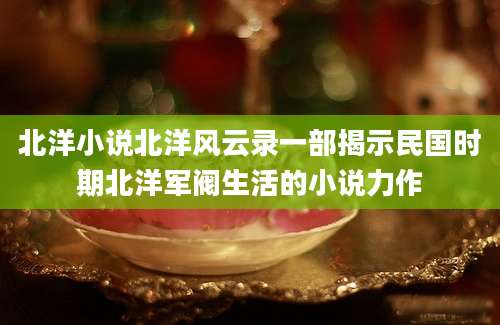 北洋小说北洋风云录一部揭示民国时期北洋军阀生活的小说力作