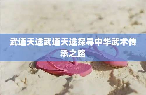 武道天途武道天途探寻中华武术传承之路
