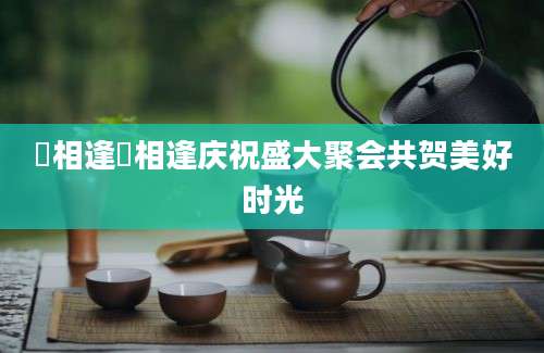 囍相逢囍相逢庆祝盛大聚会共贺美好时光