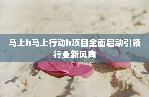 马上h马上行动h项目全面启动引领行业新风向