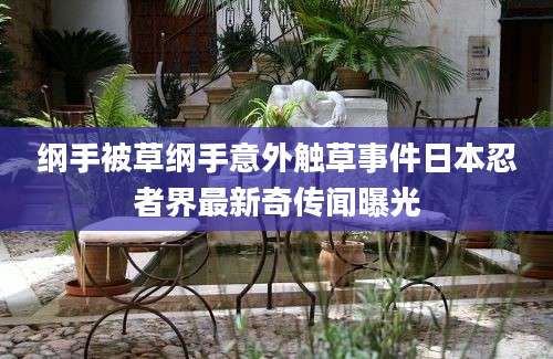 纲手被草纲手意外触草事件日本忍者界最新奇传闻曝光
