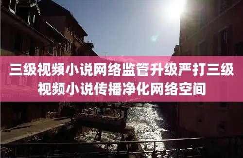 三级视频小说网络监管升级严打三级视频小说传播净化网络空间