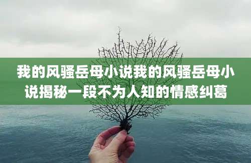 我的风骚岳母小说我的风骚岳母小说揭秘一段不为人知的情感纠葛
