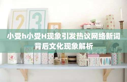 小受h小受H现象引发热议网络新词背后文化现象解析