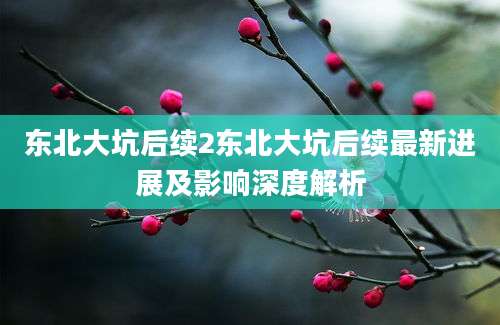 东北大坑后续2东北大坑后续最新进展及影响深度解析