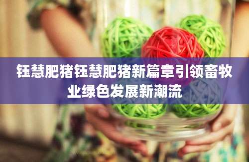 钰慧肥猪钰慧肥猪新篇章引领畜牧业绿色发展新潮流