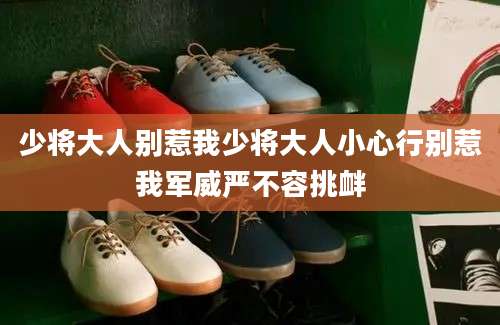 少将大人别惹我少将大人小心行别惹我军威严不容挑衅