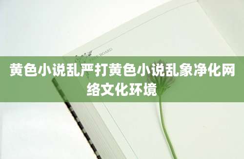 黄色小说乱严打黄色小说乱象净化网络文化环境