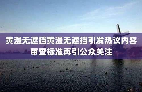 黄漫无遮挡黄漫无遮挡引发热议内容审查标准再引公众关注
